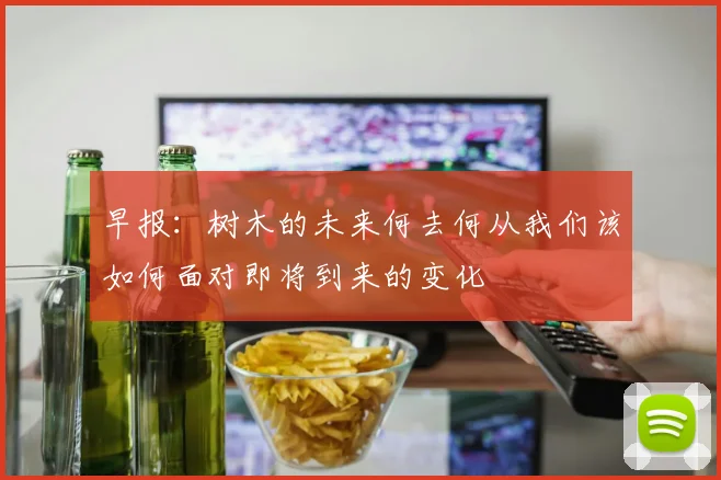 早报：树木的未来何去何从我们该如何面对即将到来的变化